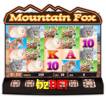 bzbet.com
